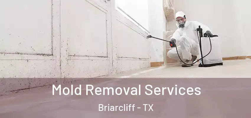  Mold Removal Services Briarcliff - TX
