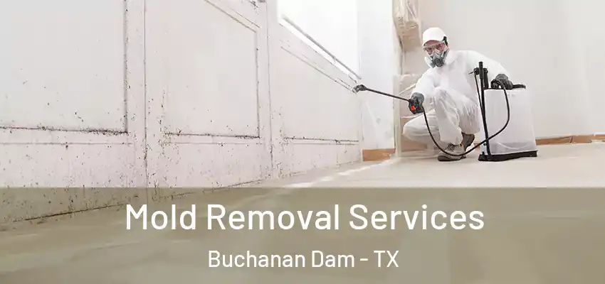  Mold Removal Services Buchanan Dam - TX