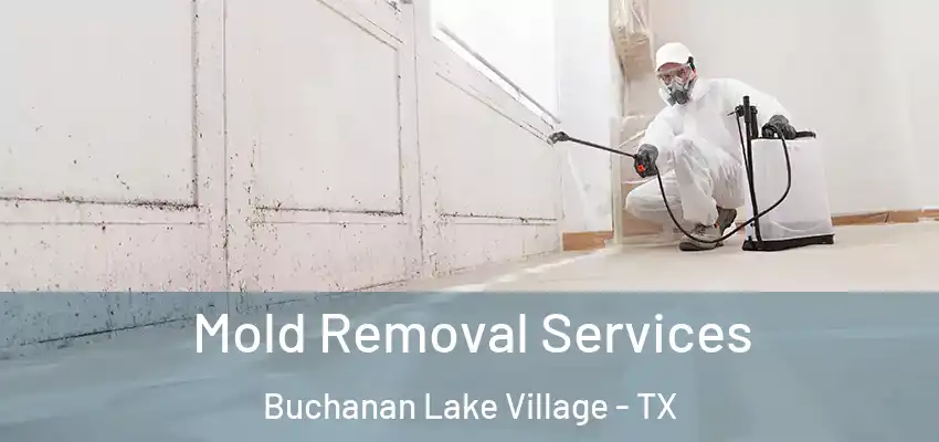 Mold Removal Services Buchanan Lake Village - TX