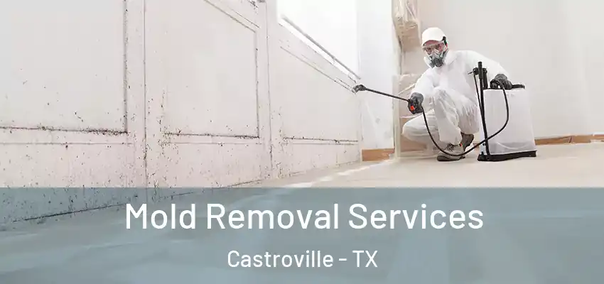  Mold Removal Services Castroville - TX