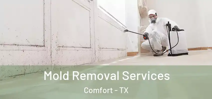 Mold Removal Services Comfort - TX