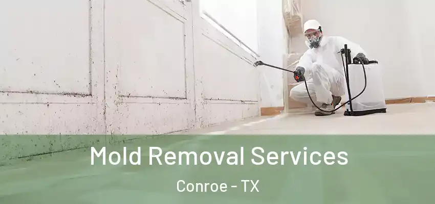  Mold Removal Services Conroe - TX