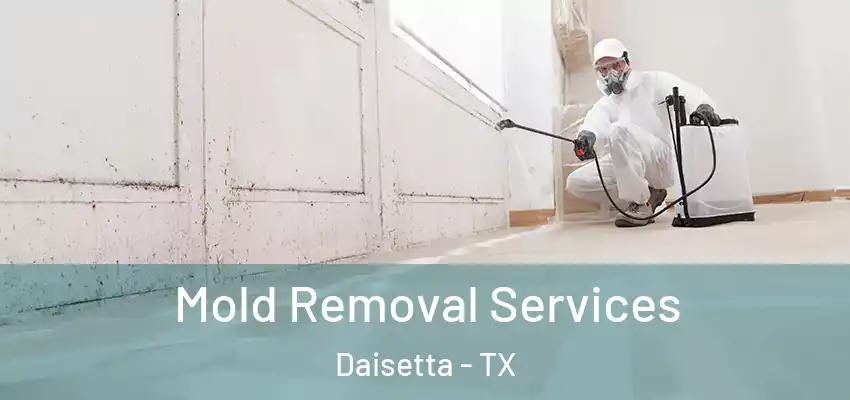  Mold Removal Services Daisetta - TX