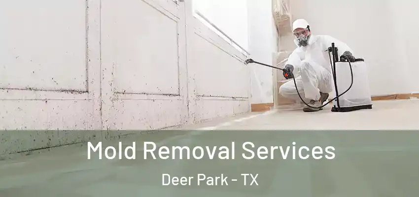 Mold Removal Services Deer Park - TX