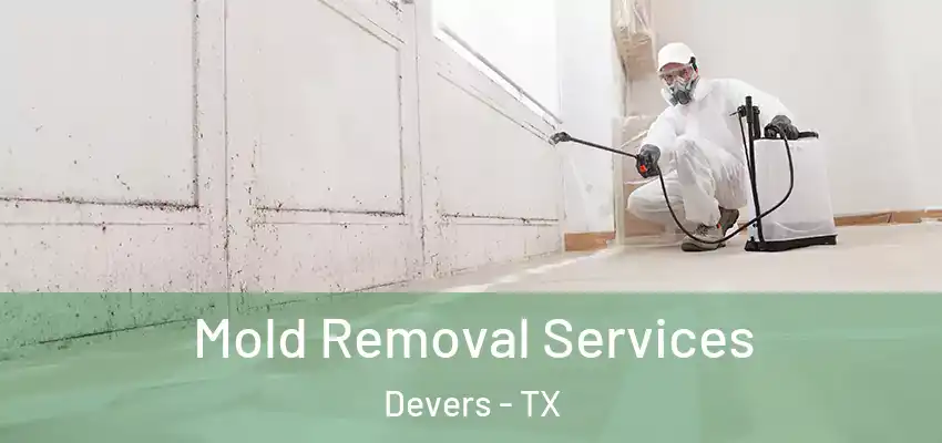 Mold Removal Services Devers - TX