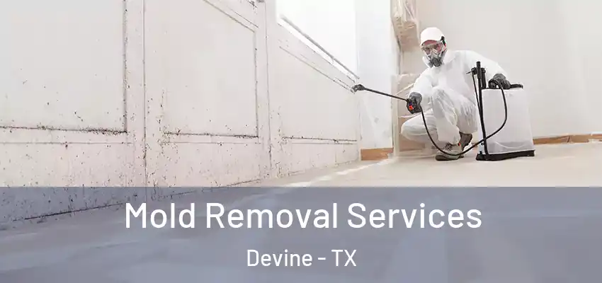  Mold Removal Services Devine - TX