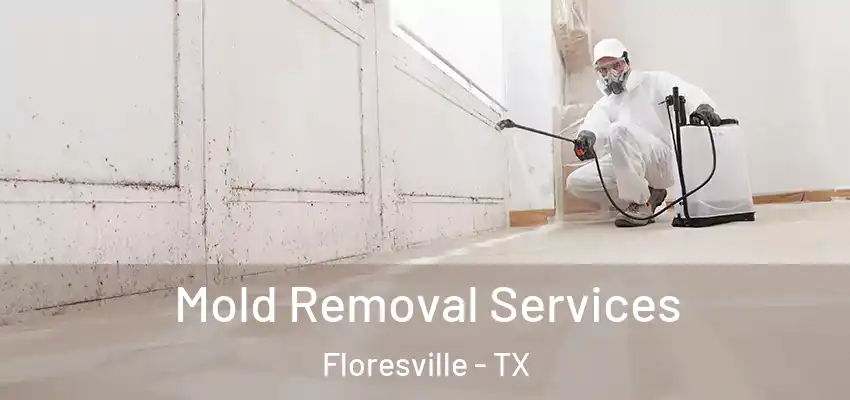  Mold Removal Services Floresville - TX