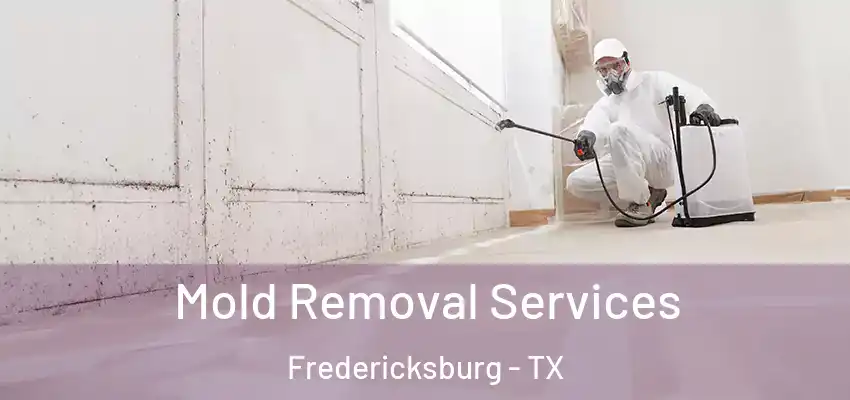  Mold Removal Services Fredericksburg - TX