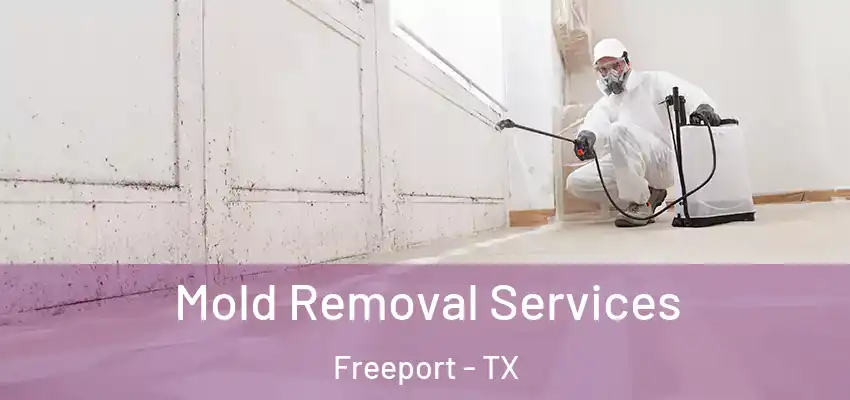  Mold Removal Services Freeport - TX
