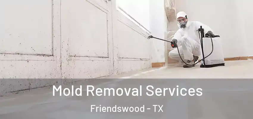  Mold Removal Services Friendswood - TX