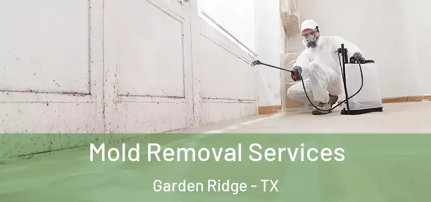  Mold Removal Services Garden Ridge - TX
