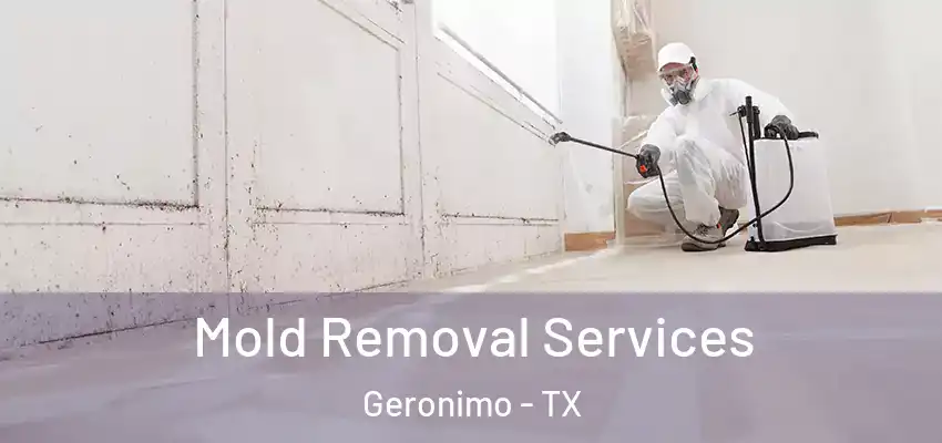 Mold Removal Services Geronimo - TX