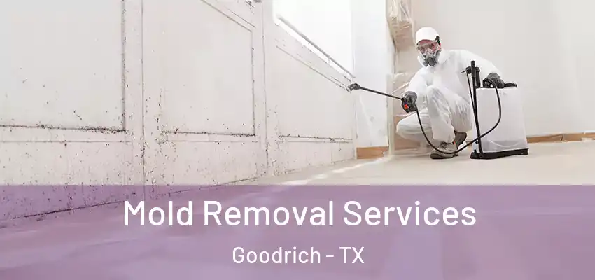 Mold Removal Services Goodrich - TX