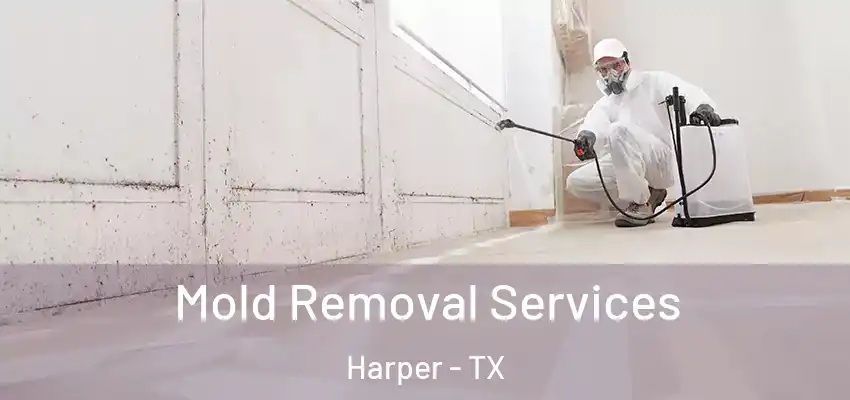  Mold Removal Services Harper - TX