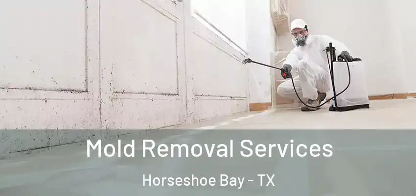  Mold Removal Services Horseshoe Bay - TX