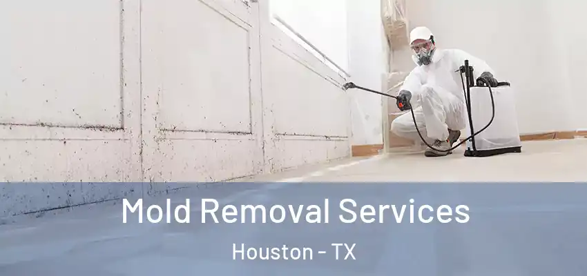 Mold Removal Services Houston - TX