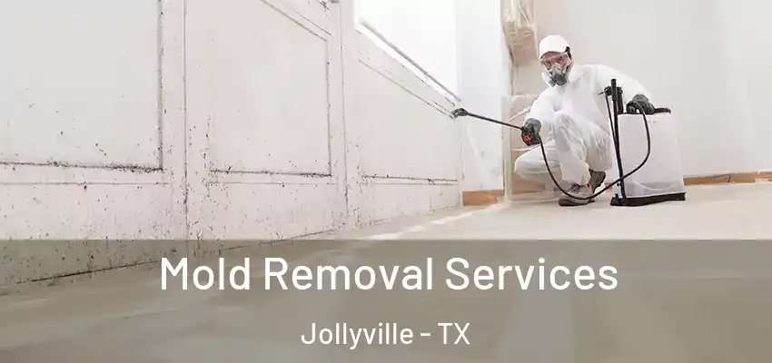  Mold Removal Services Jollyville - TX