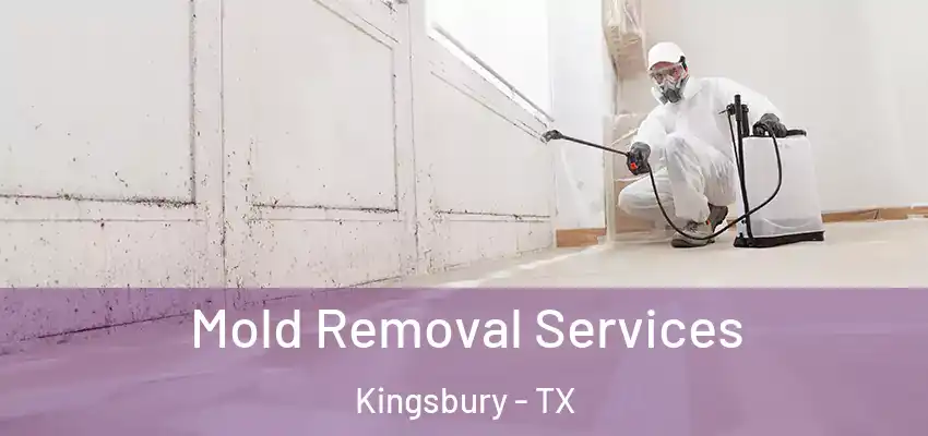  Mold Removal Services Kingsbury - TX