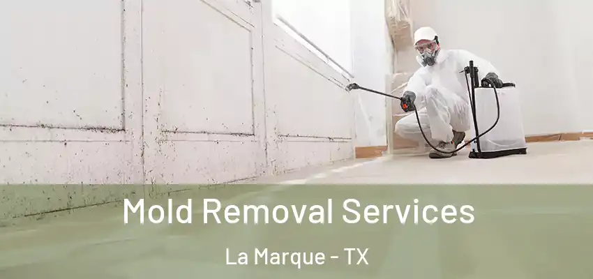  Mold Removal Services La Marque - TX