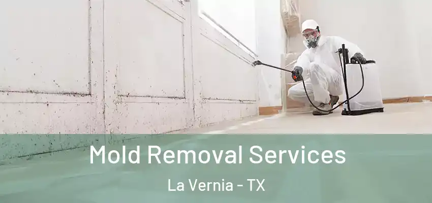  Mold Removal Services La Vernia - TX
