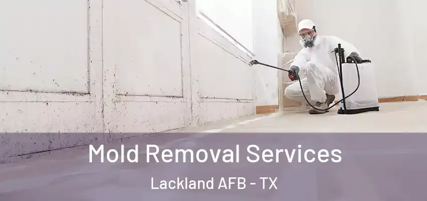 Mold Removal Services Lackland AFB - TX