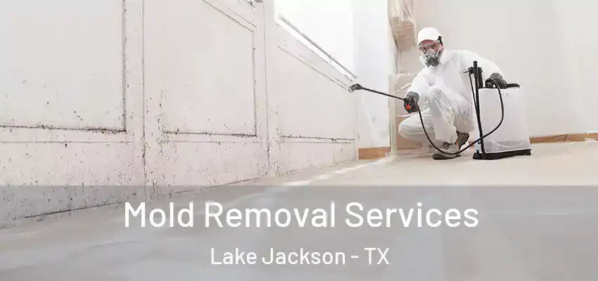 Mold Removal Services Lake Jackson - TX
