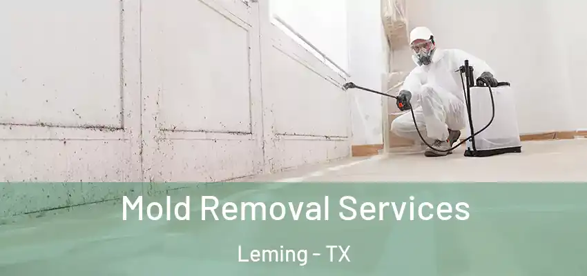  Mold Removal Services Leming - TX