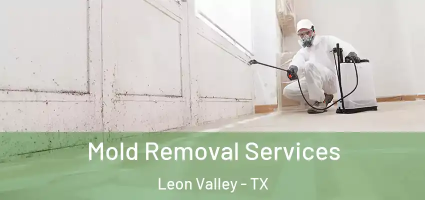  Mold Removal Services Leon Valley - TX