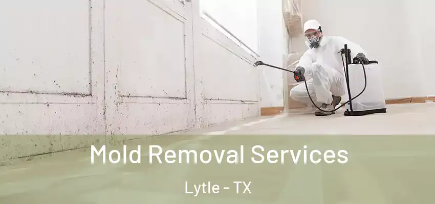  Mold Removal Services Lytle - TX