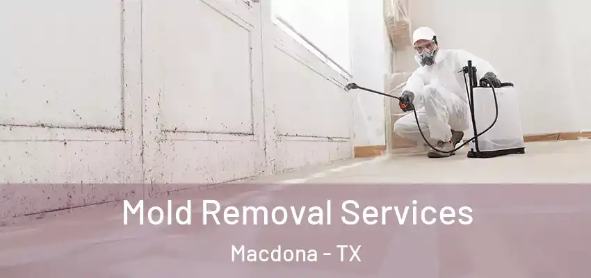  Mold Removal Services Macdona - TX