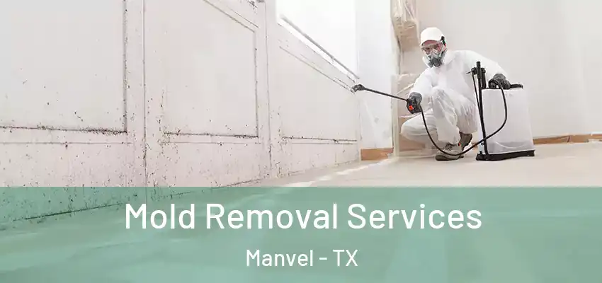  Mold Removal Services Manvel - TX