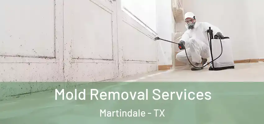  Mold Removal Services Martindale - TX
