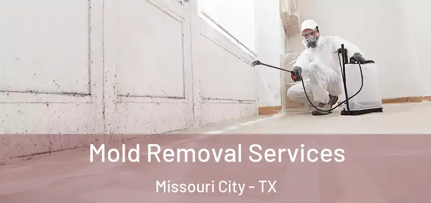  Mold Removal Services Missouri City - TX