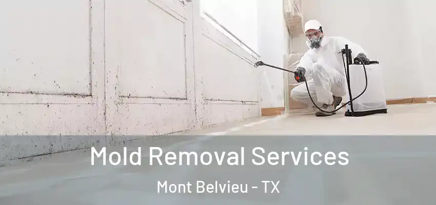  Mold Removal Services Mont Belvieu - TX