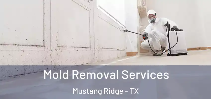  Mold Removal Services Mustang Ridge - TX