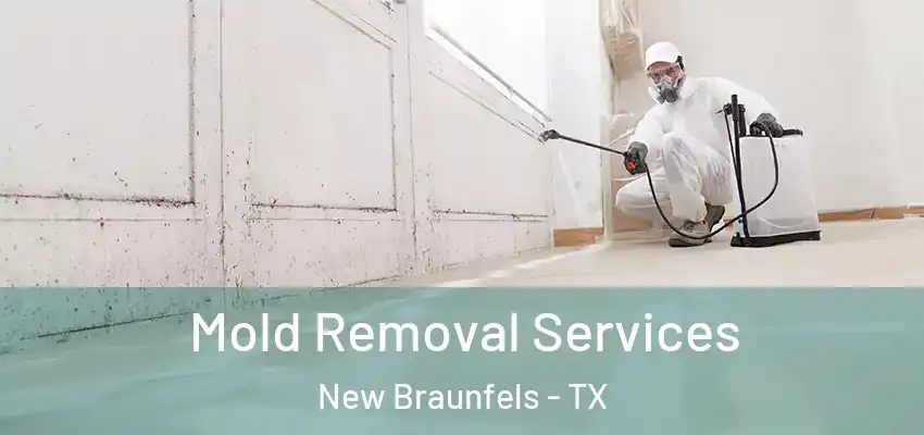  Mold Removal Services New Braunfels - TX