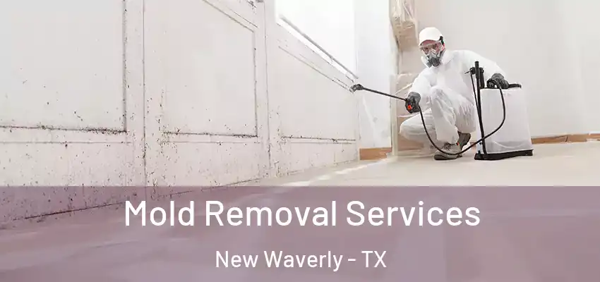 Mold Removal Services New Waverly - TX