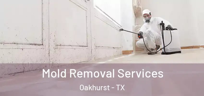  Mold Removal Services Oakhurst - TX