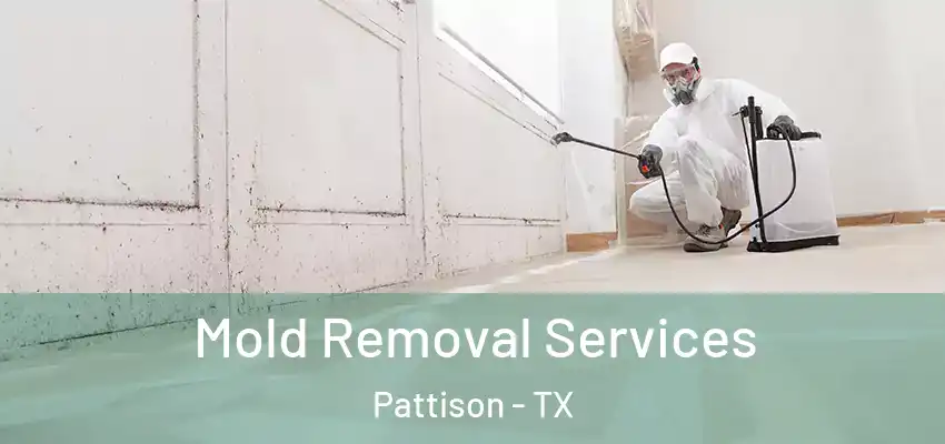  Mold Removal Services Pattison - TX