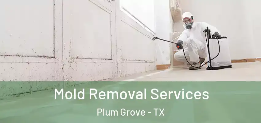 Mold Removal Services Plum Grove - TX