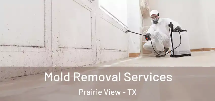  Mold Removal Services Prairie View - TX