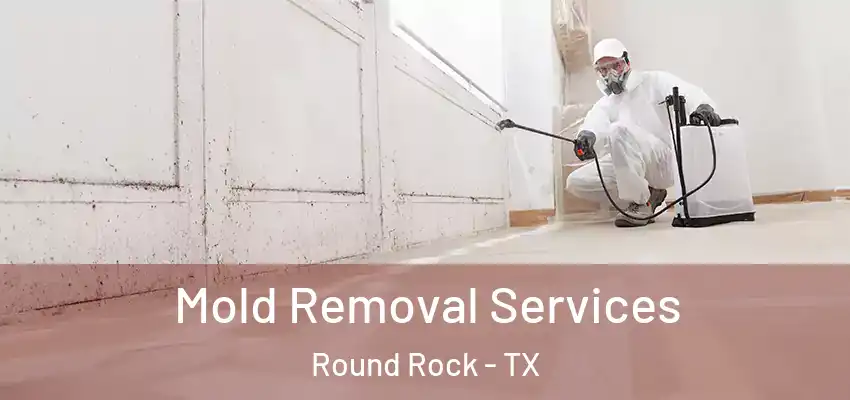  Mold Removal Services Round Rock - TX
