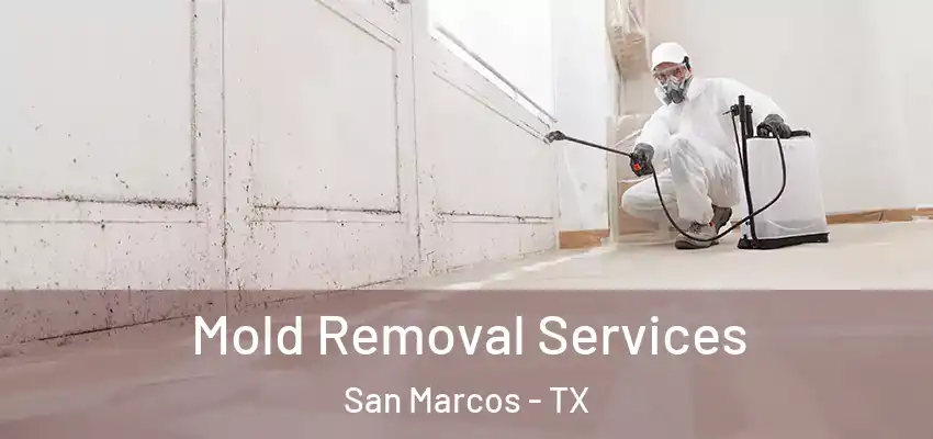  Mold Removal Services San Marcos - TX