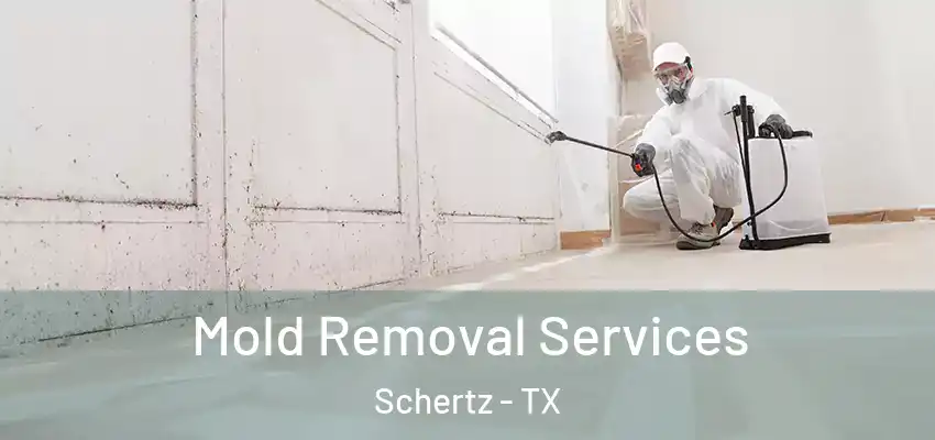  Mold Removal Services Schertz - TX