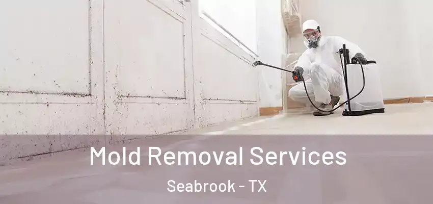  Mold Removal Services Seabrook - TX