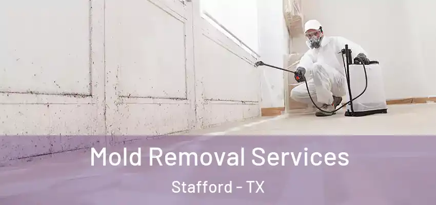  Mold Removal Services Stafford - TX