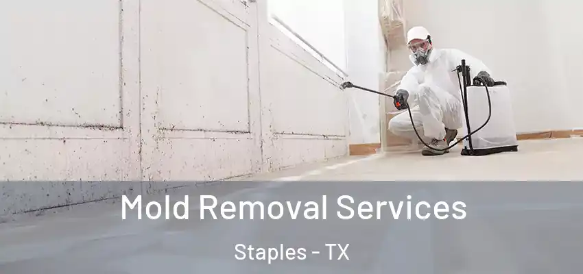  Mold Removal Services Staples - TX