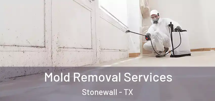  Mold Removal Services Stonewall - TX