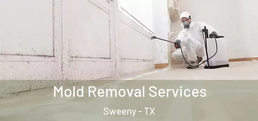  Mold Removal Services Sweeny - TX