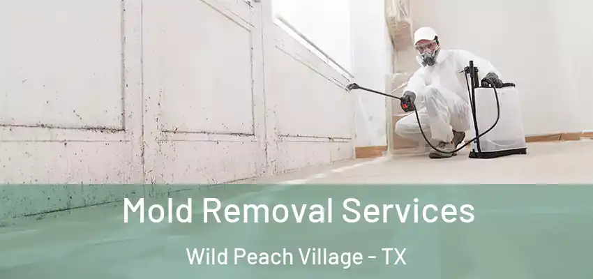 Mold Removal Services Wild Peach Village - TX